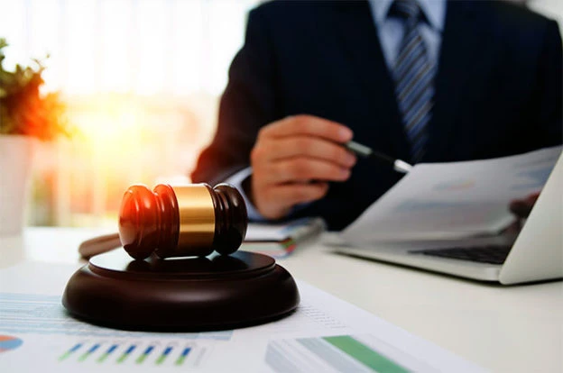 litigation support